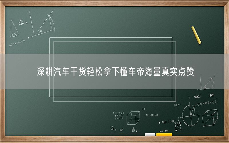 深耕汽车干货轻松拿下懂车帝海量真实点赞